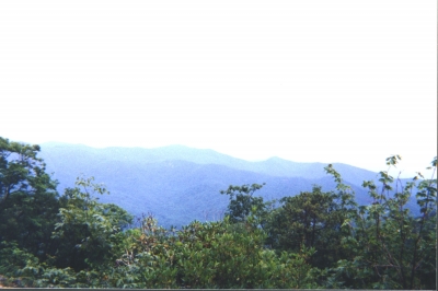 The View From Keith Day Knob, June 22, 1998