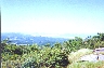The View From Scaly Mountain, June 22, 1998